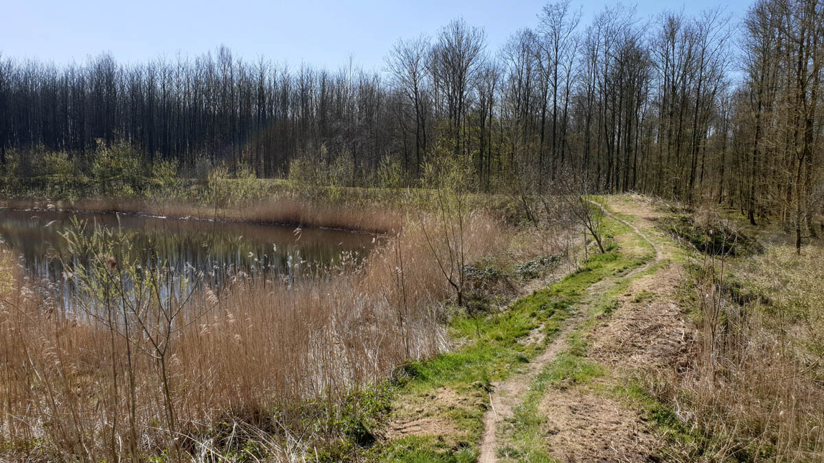 MTB route Zeewolde